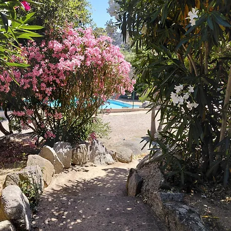 Holiday home Balistra Porto-vecchio *